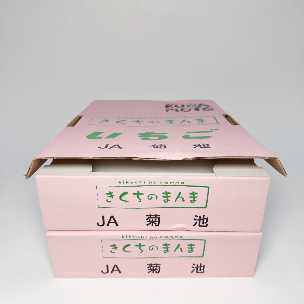 菊池小糖蜜草莓禮盒