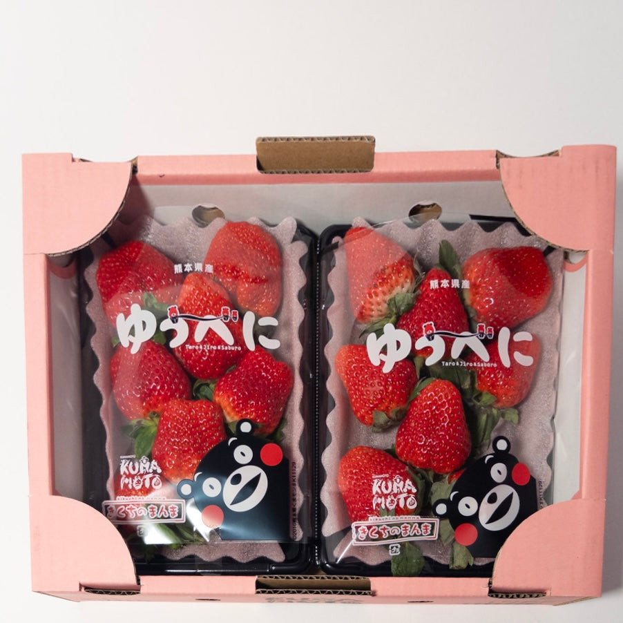 日本熊本草莓