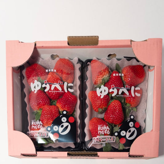 日本熊本草莓