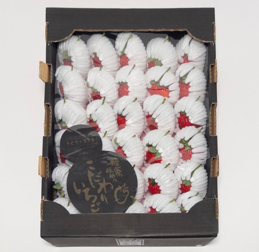 人氣王-日本菊池黑盒糖蜜草莓