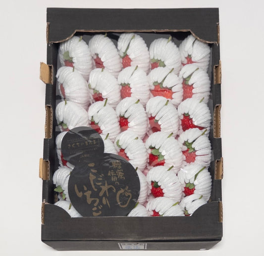 人氣王-日本菊池黑盒糖蜜草莓