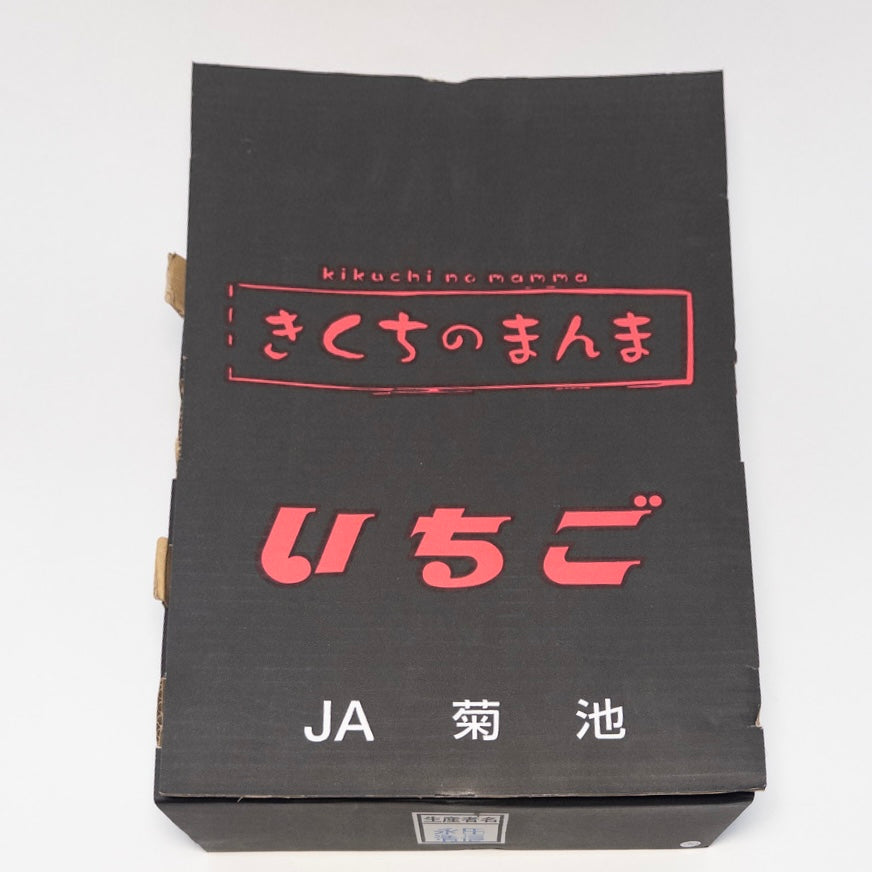 人氣王-日本菊池黑盒糖蜜草莓