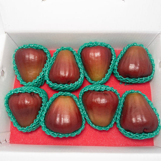 台灣屏東黑珍珠蓮霧