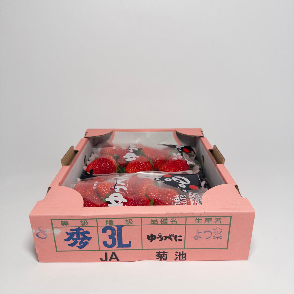 日本熊本草莓
