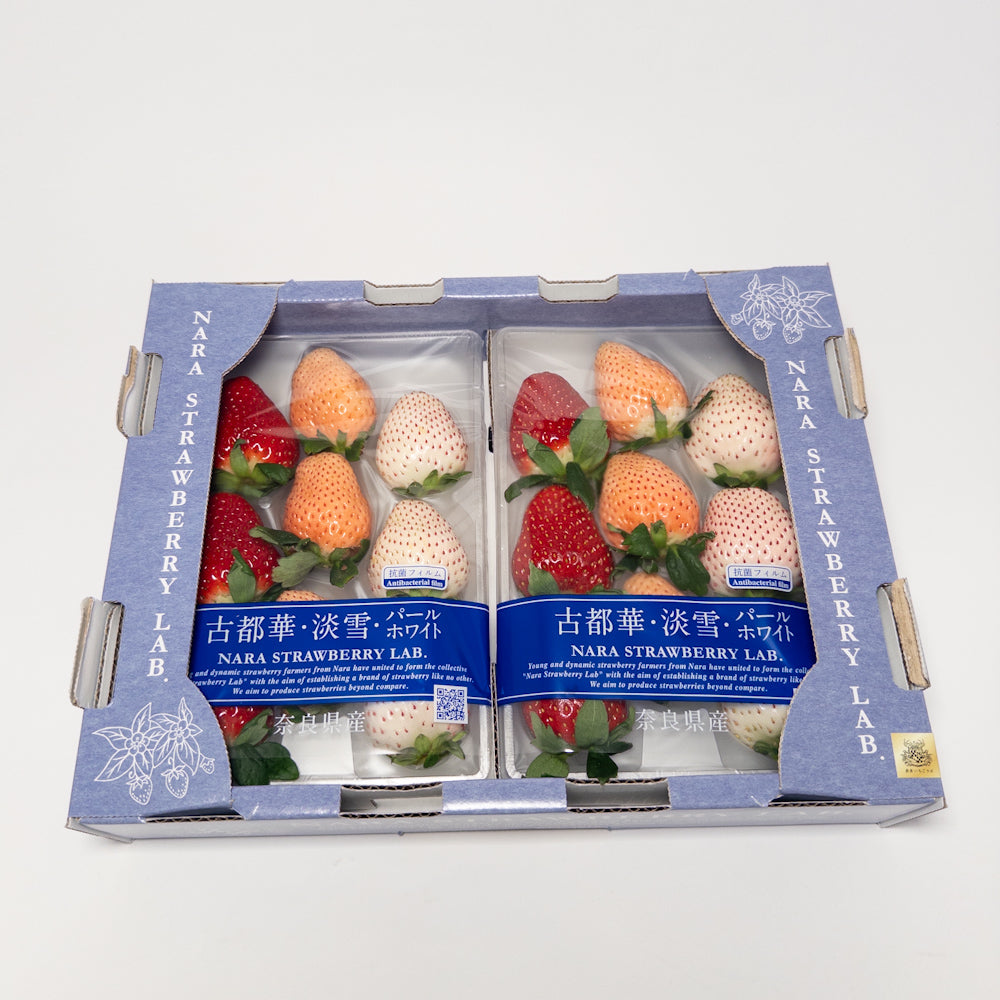 古都華淡雪三色草莓