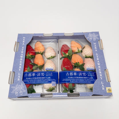 古都華淡雪三色草莓