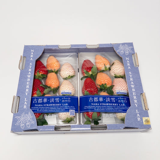 古都華淡雪三色草莓