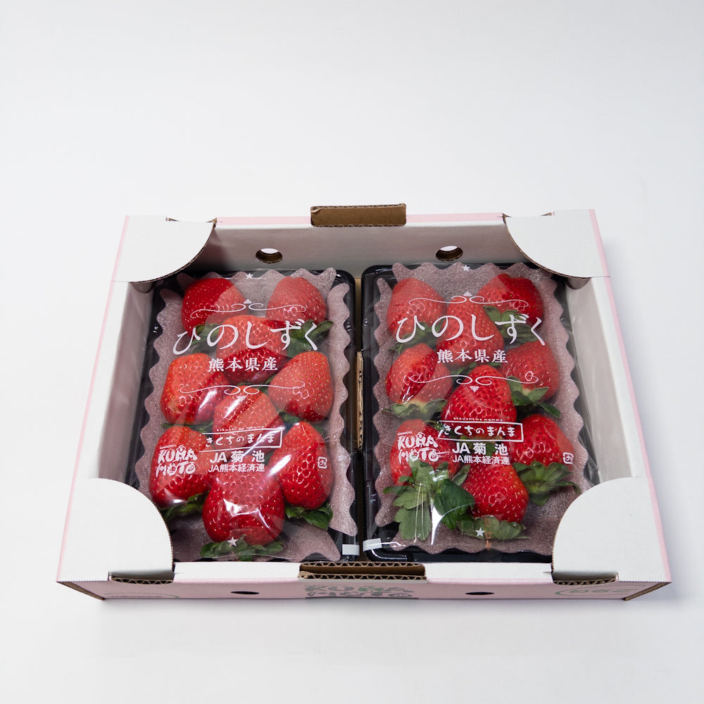 菊池小糖蜜草莓禮盒